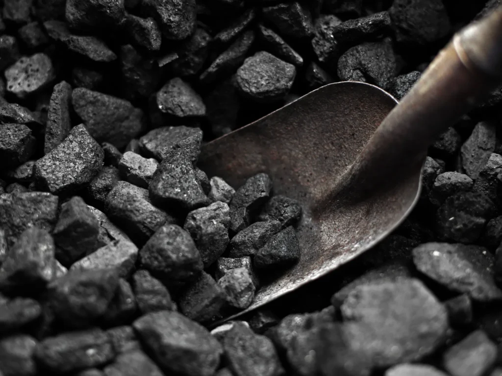 Top 5 Natural Ways to Control Condensation in a Shipping Container Coal used as a natural moisture absorber inside a shipping container.