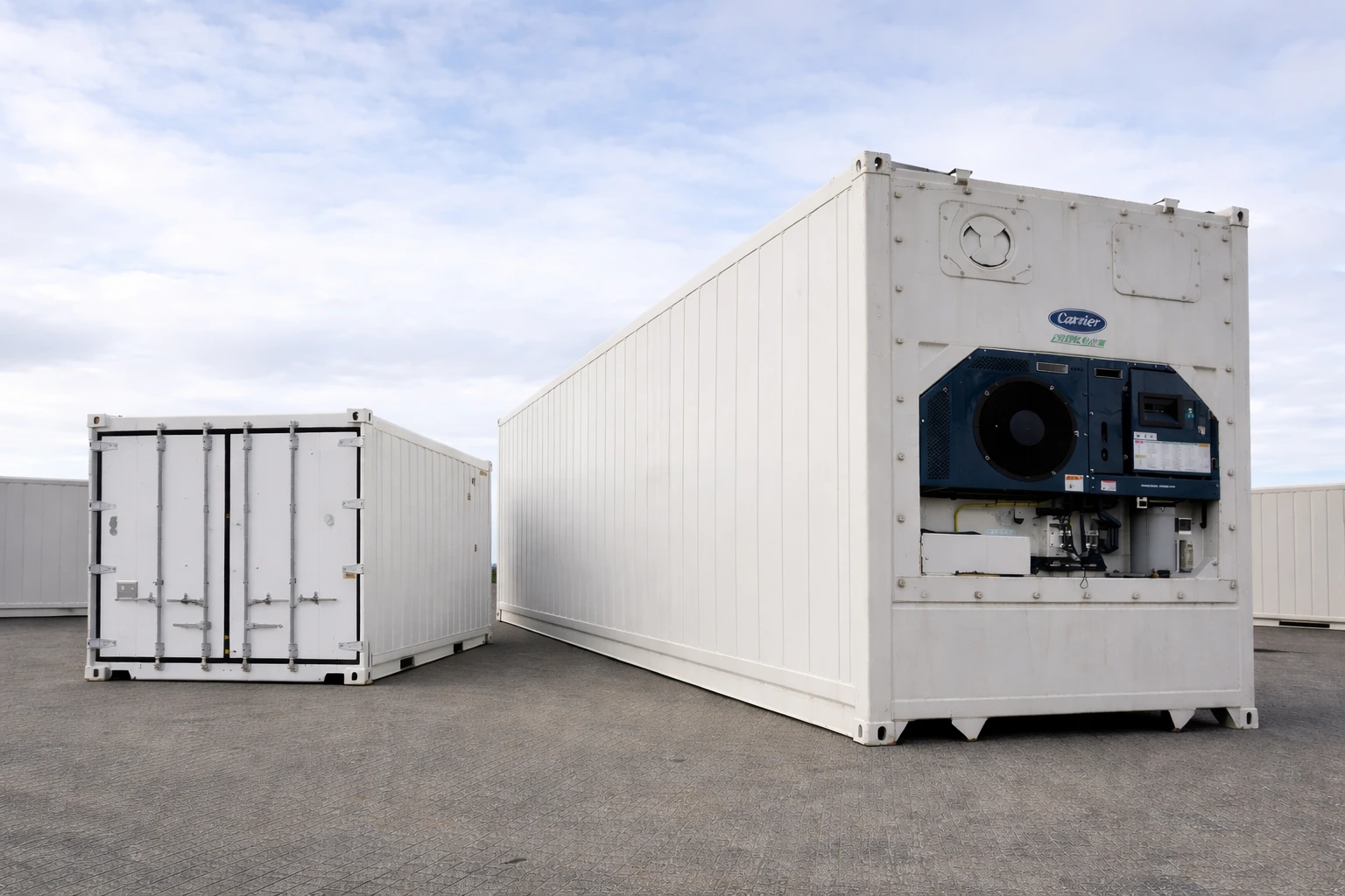 20ft standard vs 40ft high cube refrigerated shipping containers side by side